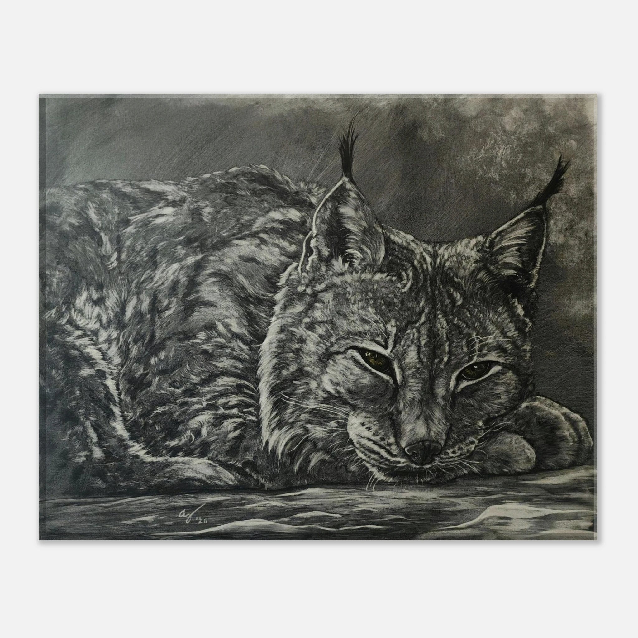 8712f27b-89ac-4295-b6e2-7325db1a88b6
